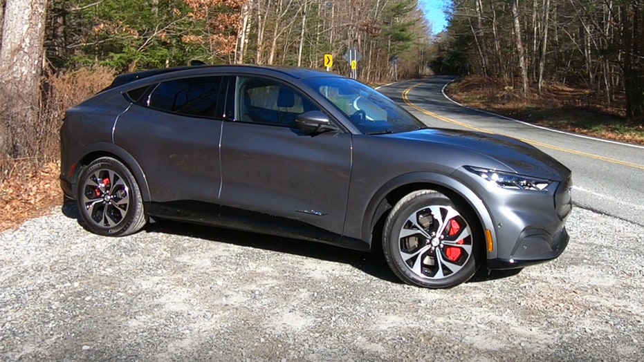 The electric Ford Mustang Mach-E just got a big price hike